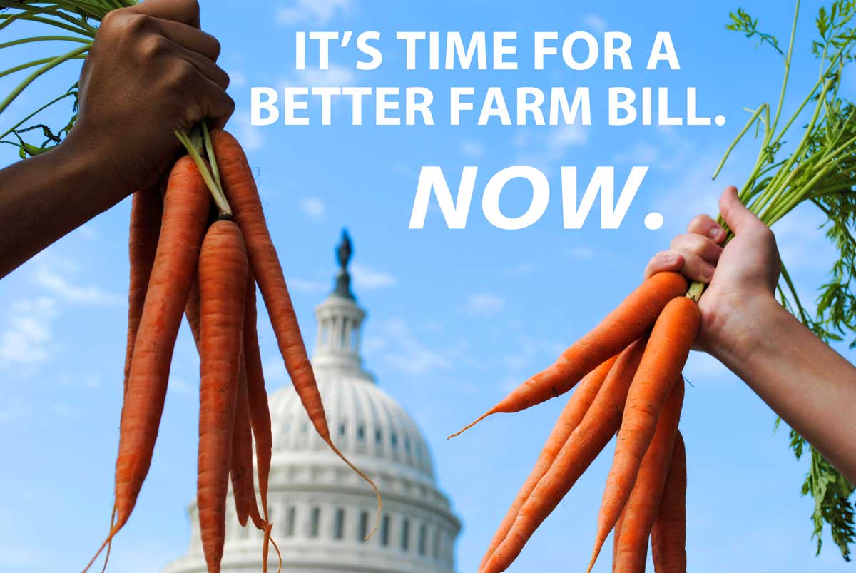National Young Farmers Coalition Team Up with NYFC for a Better Farm Bill
